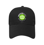 Charlotte Official Player Hat