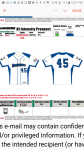 Demarini Intensity White Uniform Top