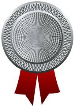 SILVER SPONSORSHIP - SUMMER SOFTBALL