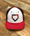 17 Baseball Flexfit Hat