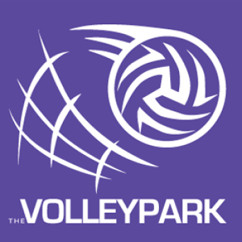 VolleyPark Purple Hoodie