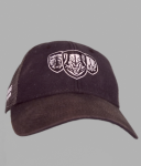2018 Predators Snap Back
