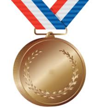 BRONZE SPONSORSHIP - SUMMER SOFTBALL
