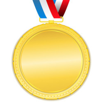 GOLD SPONSORSHIP - SUMMER SOFTBALL
