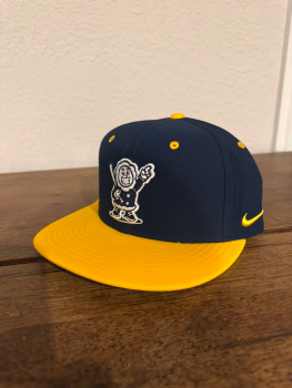 Gamers Alaska Nike Hat (Navy) With Shipping