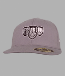 Predators Flex Fit Hat 2016