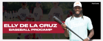 Program Logo