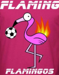 Flaming Flamingos FC (Pink) logo