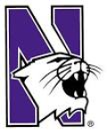 Northwestern Wildcats logo