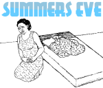 Summers Eve logo