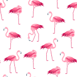 31 - Flamingos logo
