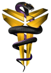 Mamba Academy - Grey logo
