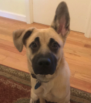 LUNAMAN FC - Light Blue logo