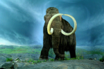 Mammoth's logo