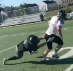 The Discipliners logo