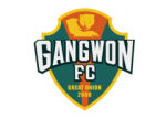 Gangwon FC - Black logo