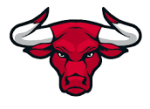 Bulls logo