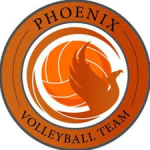 Phoenix Fury (Black) logo