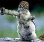 NINJA SQUIRRELS logo