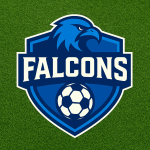 Falcons - Navy Blue logo