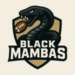 Black Mambas logo