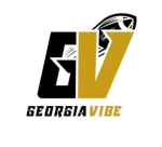 GA VIBE logo