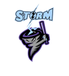 Storm logo
