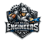 The Silver Engineers - Grey logo