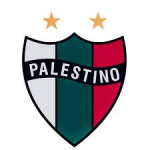 FC Palestino - Navy Blue logo