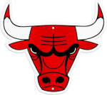 Bulls - Silver logo