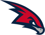 Hawks - Silver logo