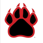Wildcats logo