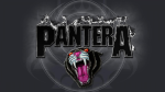 Pantera FC - Black logo