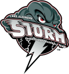 Storm logo