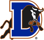 Bulls logo