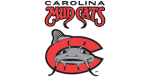 Mud Cats logo