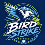 BIRD STRIKE logo