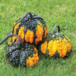 Gourd Awful logo