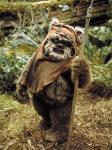 Ewok Nightclub logo