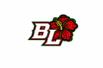Bloodline (Heather Irish) logo