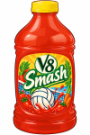 V8 logo